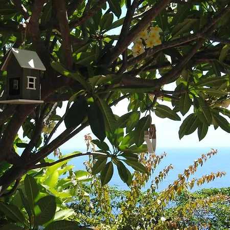 Casa La Bobadilla 別荘