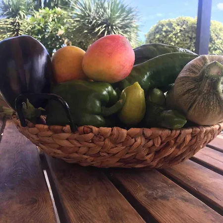 別荘 Casa La Bobadilla Agulo